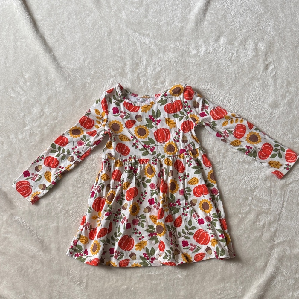 Pumpkin and Floral Fall Dress